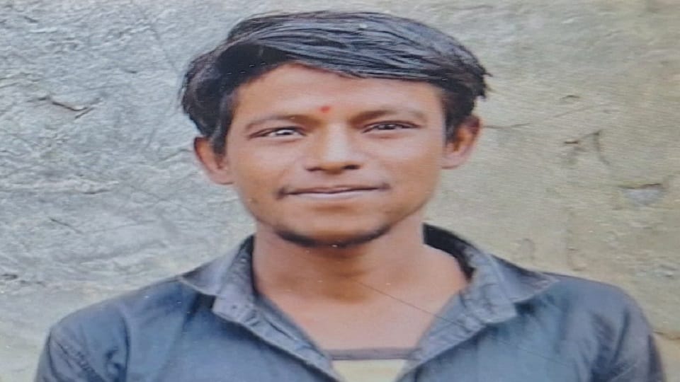 mataka-shashapal-aharaya_1e3f58cabd7787684183d1d2c0fbad7a.jpeg