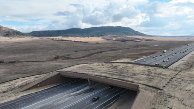 colorado-built-a-wildlife-overpass-across-a-busy-highway-a-new-report-says-animal-vehicle-collisions.png