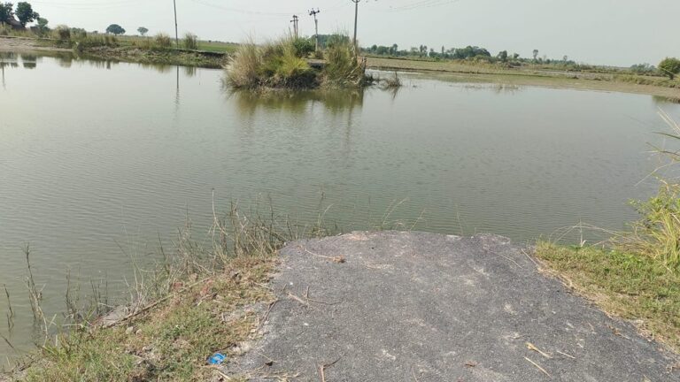 fata-29-gava-samacapara-catara-ma-katana-karata-gaga-savatha_c3715f06f289ca8148831f25bc309057.jpeg
