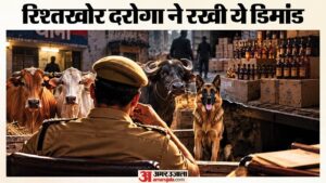 fir-lodged-in-hisar_b1e33020cf3bf67de9b5c5fdbf3e83c7.jpeg
