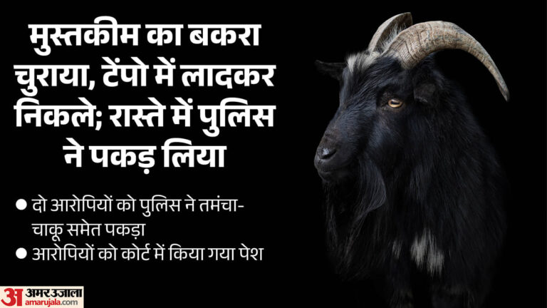goat-theft_fa0c118199eb41cd8e5db840873b93b4.jpeg