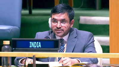 indias-first-secretary-at-un-raghoo-puri-ani.jpg