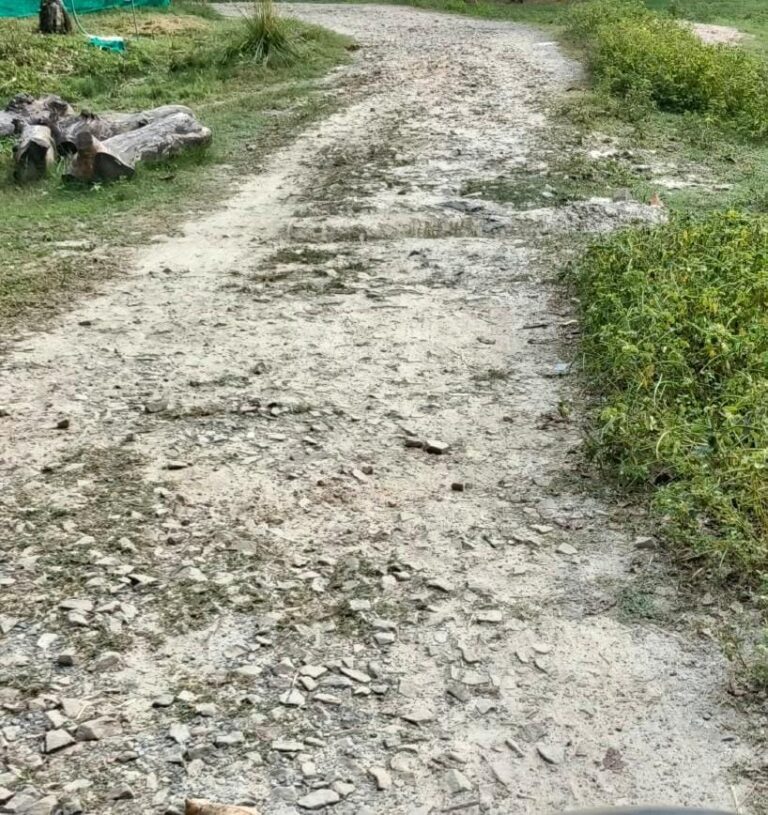 karanaiipara-shatalpara-saparaka-maraga-para-uugdha-gatata-damal-gadadha-ma-tabthal-savatha_cdc6477c.jpeg