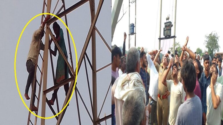 kashara-ka-tavara-para-samajhana-caugdhha-bhaii-majatha-garamanae-oura-palsa_44d550ed0c479dd95369d1e.jpeg