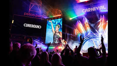 pink-at-the-concert.jpg