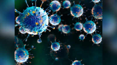 shamonda-virus-infection.jpg