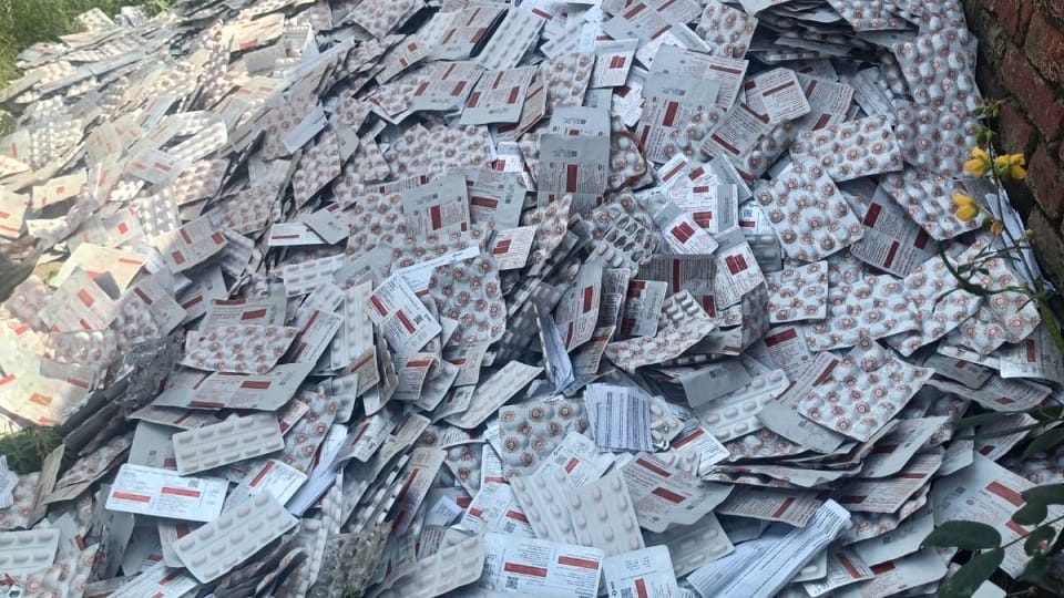 thavae_3115acccafb24e302a806df6ab352216.jpeg