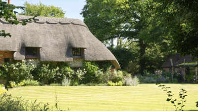 the-thatch.jpg