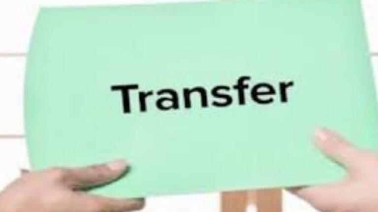 transfer_c79ad08a42bcb1b909750154e847de08.jpeg